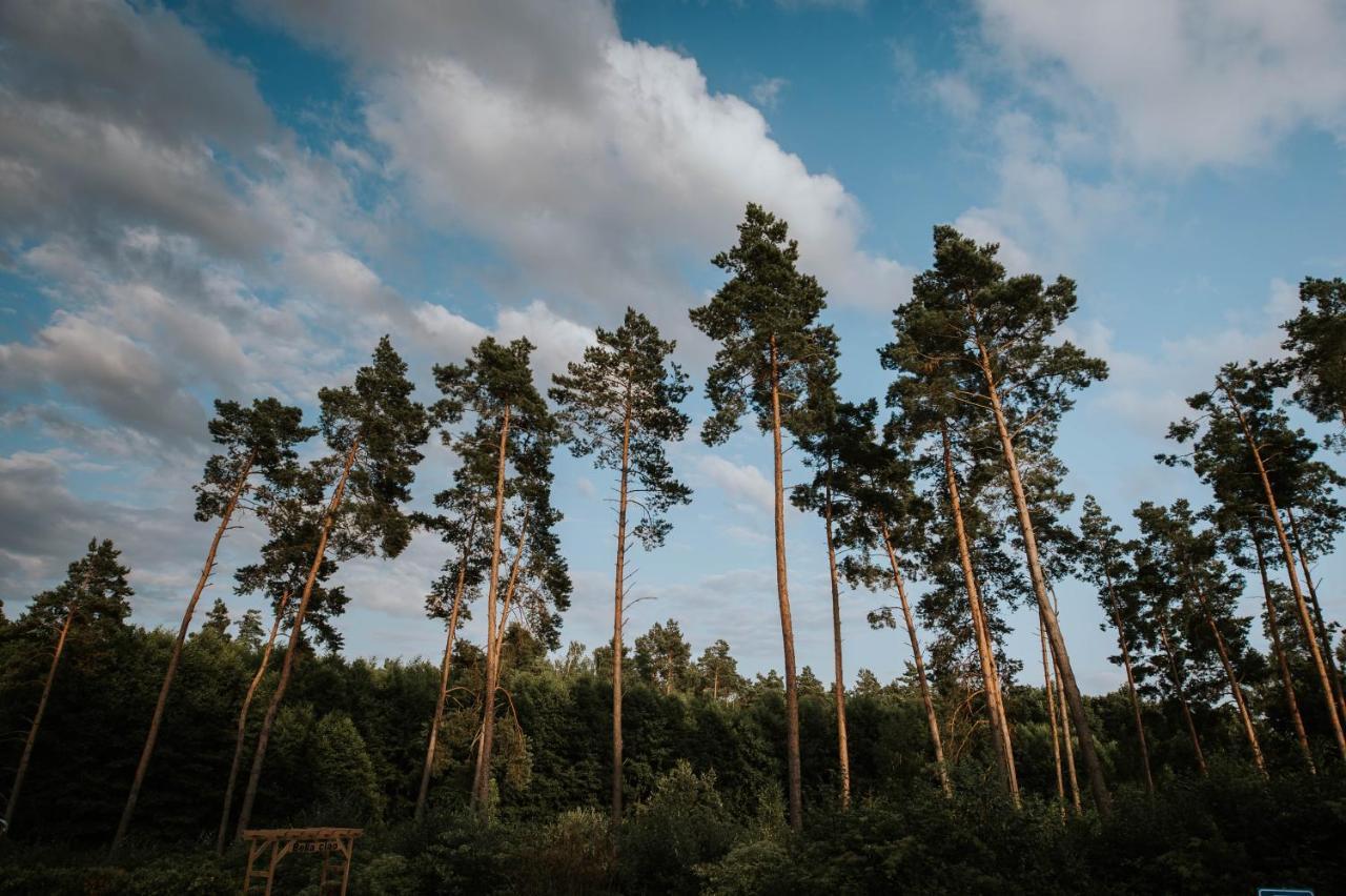 Villa Lesne Ustronie Lubiszewo Exteriér fotografie